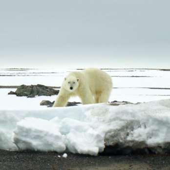 docompromise's profile picture. known or unknown. some of this actually happened. okhotsk. estuary. kumanoyu. papercut. traverse. fjords. 부동항. 멜로드라마. wiretapping. it’s official.