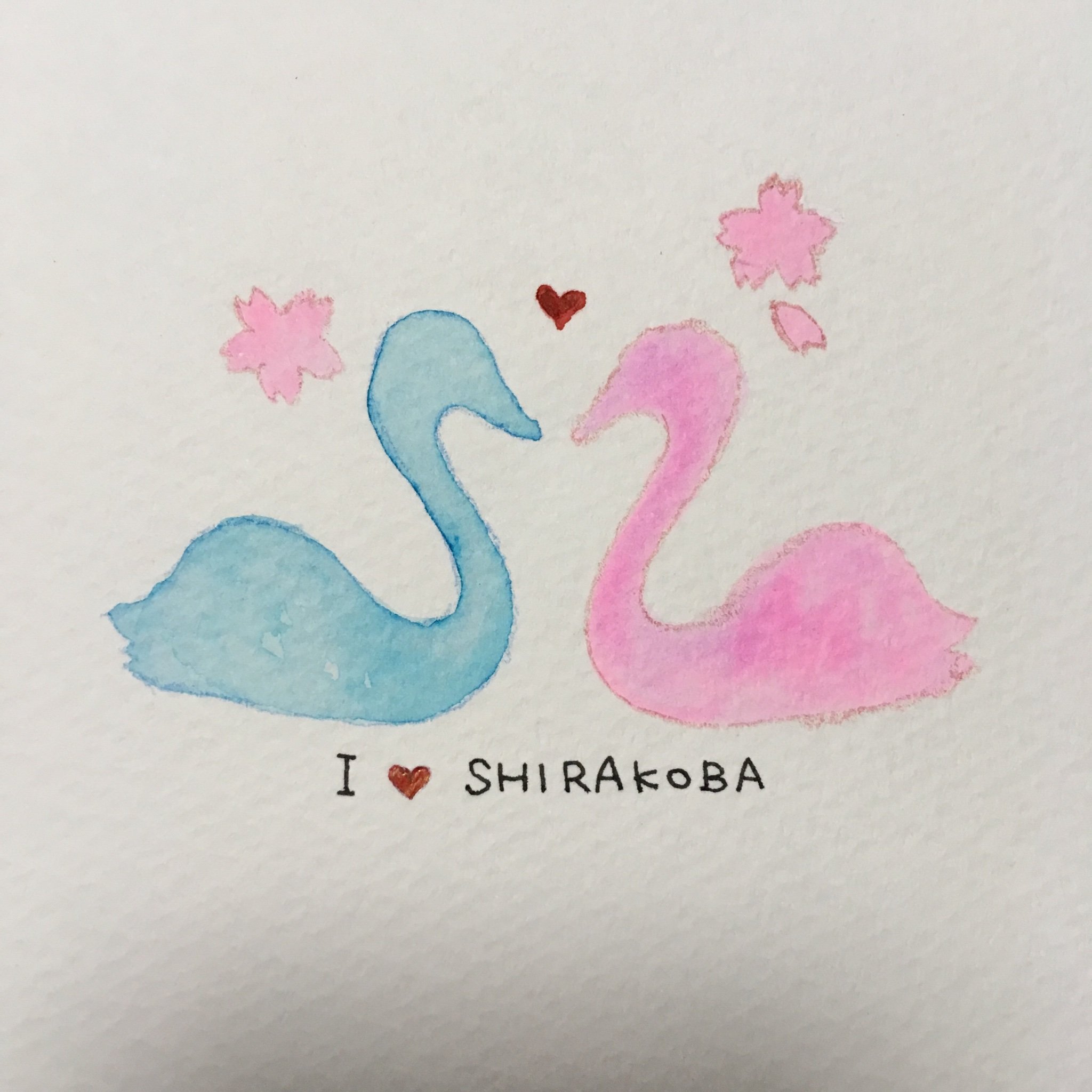 しまさんのプロフィール画像