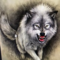 Robert Poole (@superpoole1) 's Twitter Profile