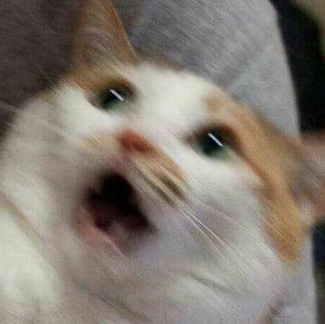 TrashCatさんのプロフィール画像