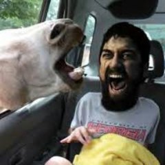 tonystory2004's profile picture. 