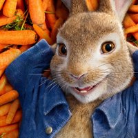Simpson's Rabbits (@simpsonsrabbits) 's Twitter Profile Photo Simpson's Rabbits (@simpsonsrabbits) 's Twitter Profile Photo