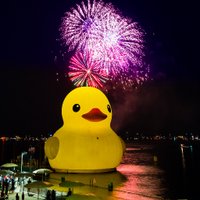 World's Largest Rubber Duck(@BigDuckUS) 's Twitter Profileg