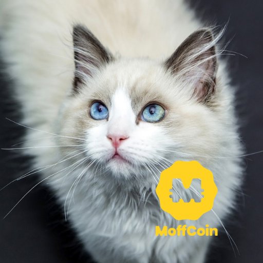 MoffCoin Projectさんのプロフィール画像