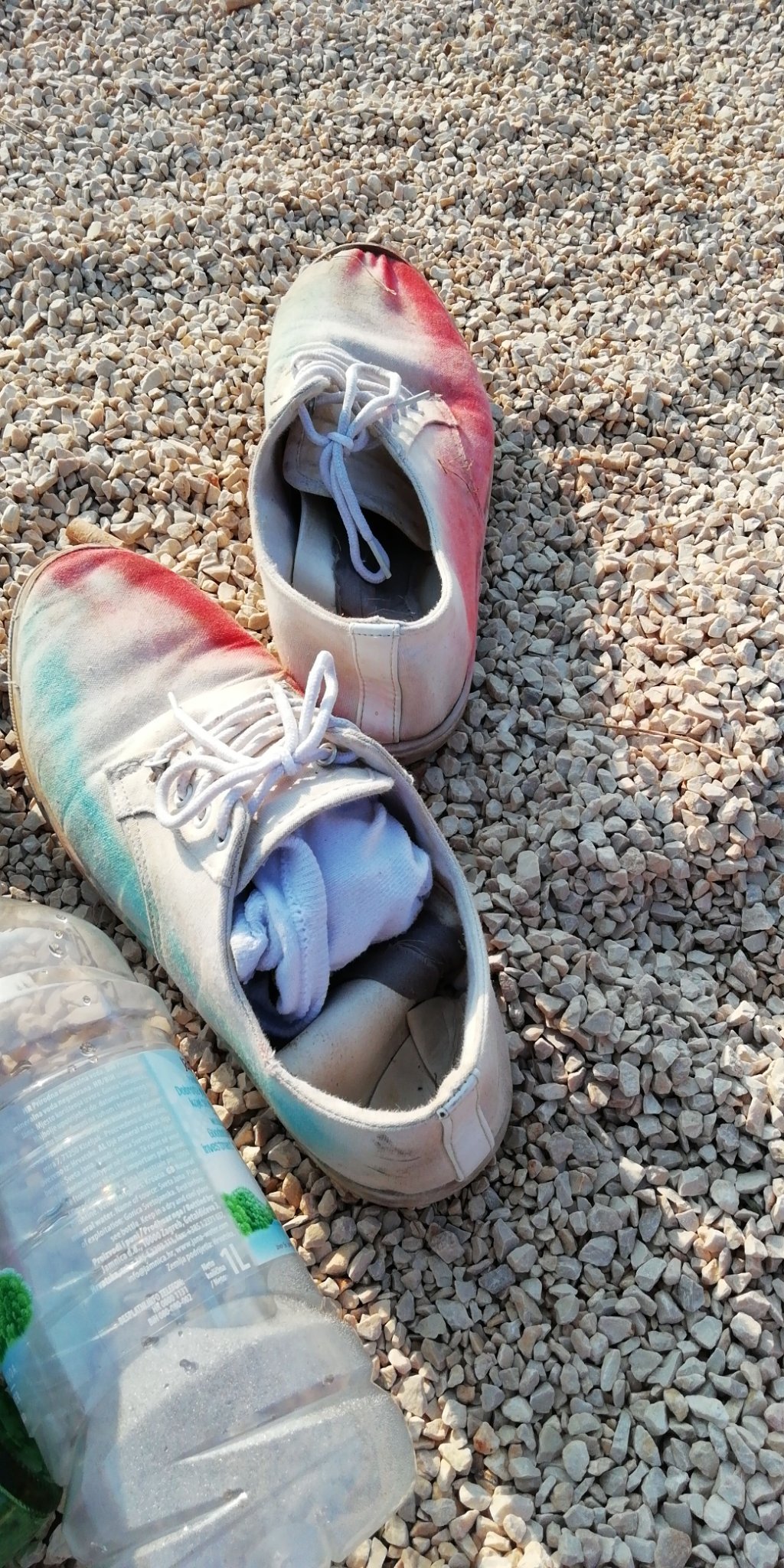 CelestinBREM's profile picture. Internet fuck you