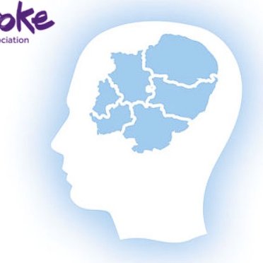 Our aim is to nurture, develop and sustain a community of knowledgeable professionals competent in meeting the needs of individuals affected by stroke.