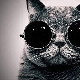 Nahuwal's profile picture. #Bitcoin