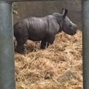 Kerry Hunt - @KerryHuntZoo - Twitter