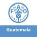 FAO Guatemala (@FAOGuatemala) Twitter profile photo