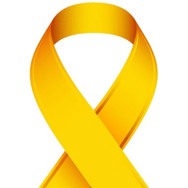 Twitter page for the UTHSCSA Orthopaedic Oncology. Stay up to date on bone and soft tissue sarcomas along with benign, malignant, and metastatic disease.