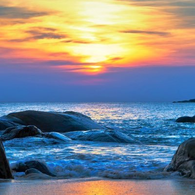 AnjelicaBurges3's profile picture. 