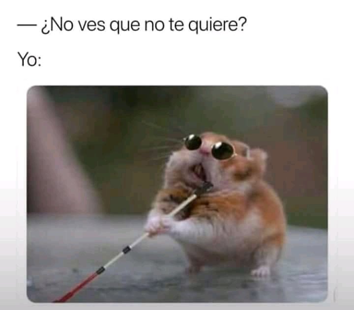 hrn77l's profile picture. Amo las ciencias experimentales