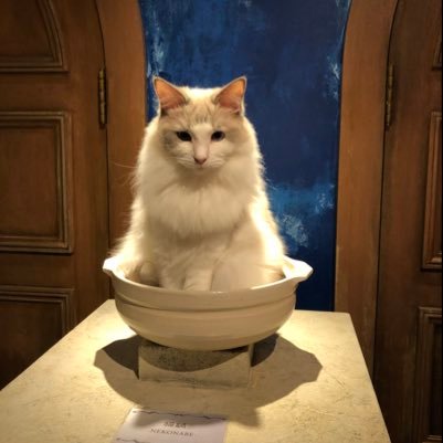 mrsjfischer's profile picture. 