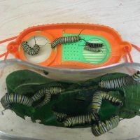 HVRSD STEM Squad (@hvrsd_stem) 's Twitter Profile