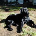 Ken Hadley - @Kenannapolis - Twitter