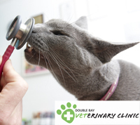 doublebayvet's profile picture. Quality vets, family values. Serving Double Bay/Woollahra. Oh yeah, and Olga!