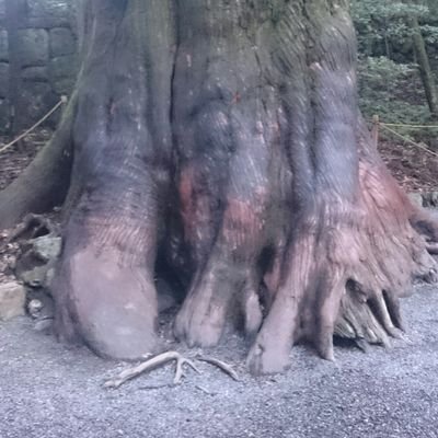 yamayama1201's profile picture. 静岡出身。
SEO・Webマーケティング/
SF : 最上志向、学習欲、内省、成長促進、公平性