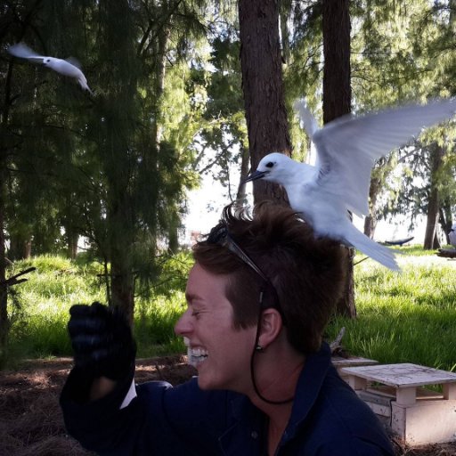 PhD Candidate @UTKnoxville, avid birder, budding ecologist | #IslandConservation | #Restoration #Ecology | #InvasiveSpecies | Follow my research! #MiceOnIslands