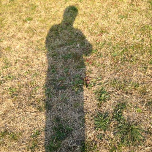 YuKawamura2's profile picture. エンジニアだったり料理する人だったり数学やる人だったり。すべては僕という一つ。 趣味は数学、特技は自動化
（なお、発言は全て個人の見解であり、所属する企業とは何の関係もありません）