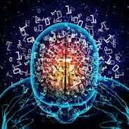 obserwator001's profile picture. 