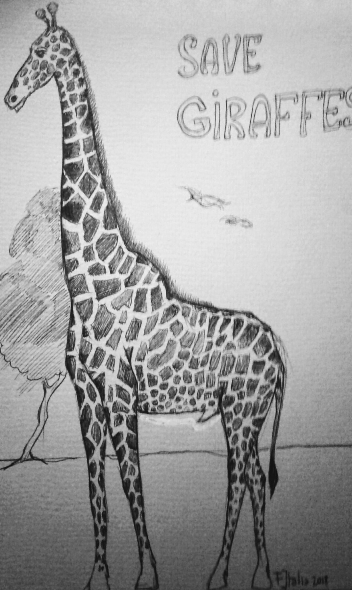 artyghok's profile picture. ANIMAL DEFENDER/ 😍❤Ecology/CONSERVATION/Artist.All drawings are mine and I play 
 music.Covers.
Musician.Intelec.Prop.soon.