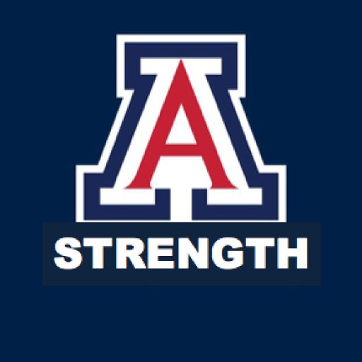 uaironcats's profile picture. Arizona Strength & Conditioning Program, IronCats, is on the cutting edge of sport training. Our mission is to produce the best athletes on and off the field.