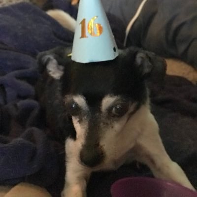 sandikneal's profile picture. #hard-working hubby #beautiful daughter #fantasticgrandkiddos #blessed