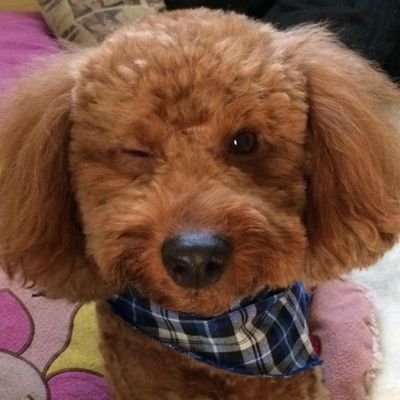 ⚾野球、
🏎️アイルトンセナ
https://t.co/od0Jhy8xwX
サイレンススズカ🏇💨💨
https://t.co/18dzVcSOWA