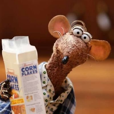 djalmaalex's profile picture. I will fight for the right to be right.