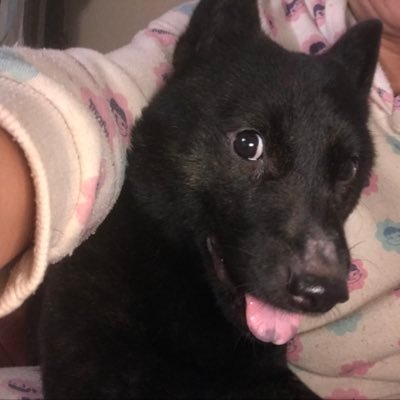 今井純子 Qaln4abypbzyi3u تويتر 今井純子 Qaln4abypbzyi3u تويتر