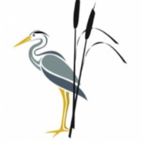 RushGreenPrimary (@rushgreenrm7) 's Twitter Profile