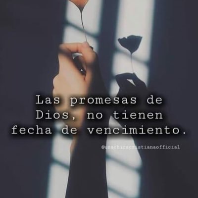 Mica2196926902's profile picture. Loveee❤️💕