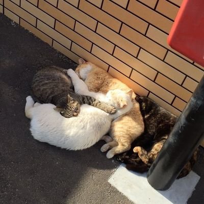 depechecode0's profile picture. 