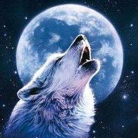 AA@ (@ammar624amm) Twitter profile photo