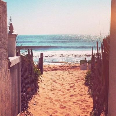 ZouabiChahnez's profile picture.