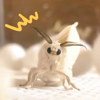 plNSlyCDTcPM3wH's profile picture. 生物の全てを放棄して日本史に帰依した男。 #勉強垢 見たくないですか？本当の逆転合格ってやつをよぉ！