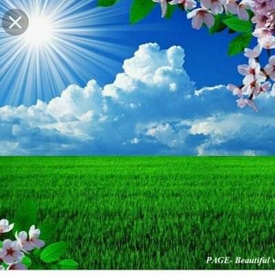 petite_chou1's profile picture. 