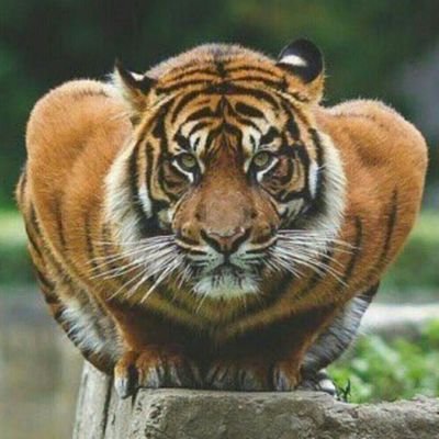 TwistedSports's profile picture. Any and EVERYTHING related to, in and around the games and beyond...
 When the games become a business, it all gets TWI$TED!!!