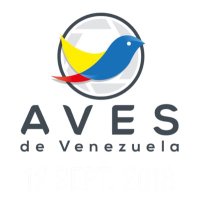 Aves de Venezuela(@AvesdeVenezuela) 's Twitter Profile Photo