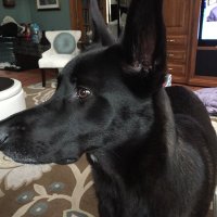 JKKš (@conservjean) 's Twitter Profile