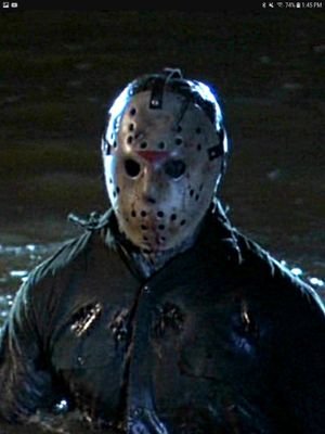 Im a jason voorhees fan and i love friday the 13th