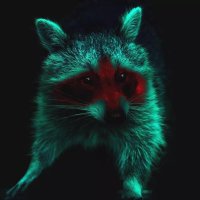 Spektrum360 (@spektrum360) 's Twitter Profile