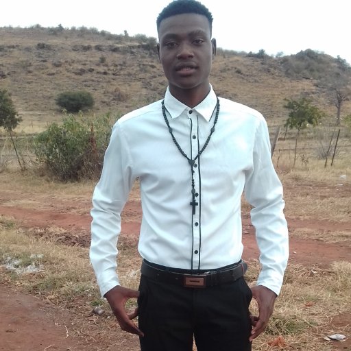 ArthurBonca's profile picture. cool anh honest guy