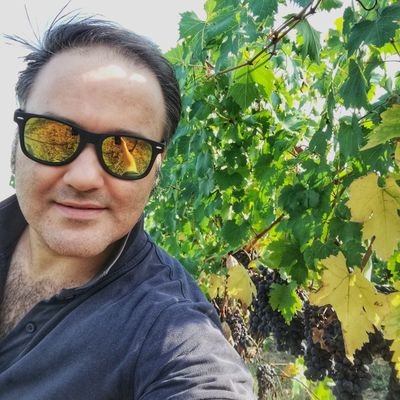 Sommelier e Wine blogger | Visit my blog https://t.co/lfDv0UBrYO