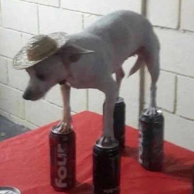 DrewCrocker88's profile picture. 