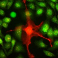 Carmofon Lab (@carmofonlab) 's Twitter Profile