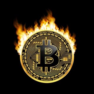 Tokarynek's profile picture. 