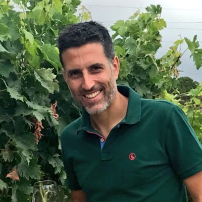 Ricardo Sanz Profile