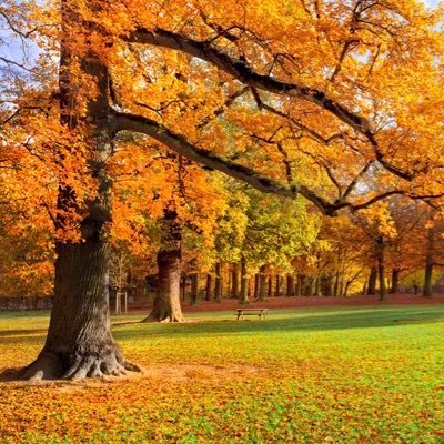 ByZack6's profile picture. We sell pajamas and T-shirt’s