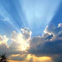 light (@light68778451) 's Twitter Profile